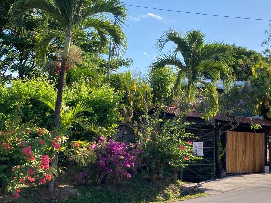 Flor De Paraiso Bungalows Montezuma Esterno foto